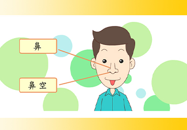 臺灣台語常用語彙(3)鼻