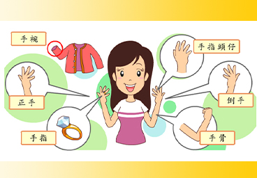 臺灣台語常用語彙(5)手