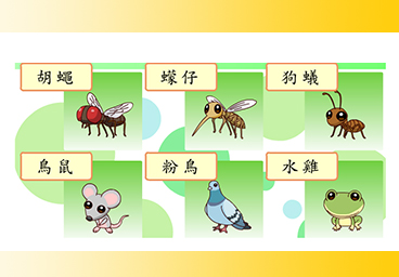 臺灣台語常用語彙(15)動物
